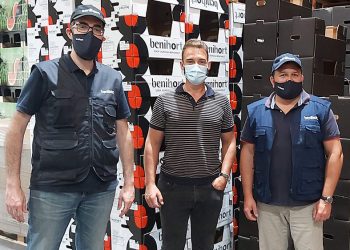 La producción de sandía Benihort ha ascendido a 11,3 millones de kilogramos