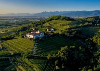 Primeras Marcas distribuirá en exclusiva los vinos de Livio Felluga