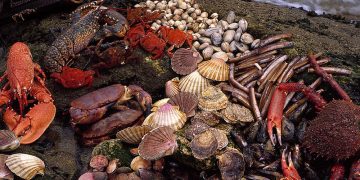 Mariscos Ogrove prevé este año triplicar sus ventas con respecto a 2019 gracias al canal online