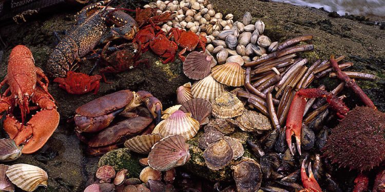 Mariscos Ogrove prevé este año triplicar sus ventas con respecto a 2019 gracias al canal online