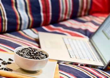 Las pipas de girasol acompañan al consumidor en la vuelta a la rutina