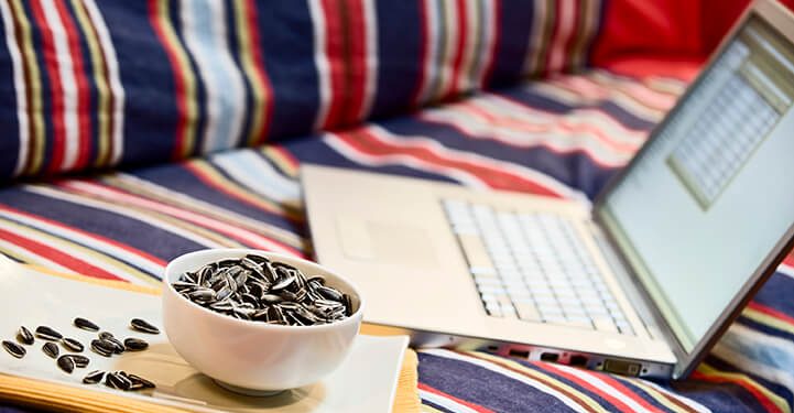 Las pipas de girasol acompañan al consumidor en la vuelta a la rutina