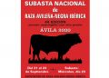 La 44ª edición de la Subasta Nacional de la raza Avileña-Negra Ibérica calienta motores