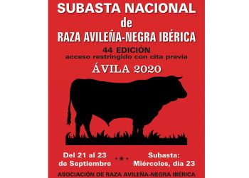 La 44ª edición de la Subasta Nacional de la raza Avileña-Negra Ibérica calienta motores