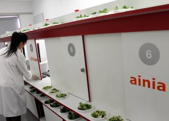 Tracking verduras IV Gama