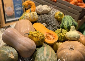Carrefour incrementa un 30% la compra de calabaza española
