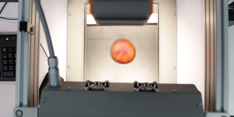 Un proyecto de CNTA busca cómo desarrollar modelos de predicción de vida útil en fruta