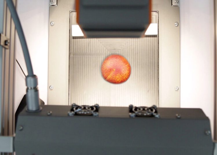 Un proyecto de CNTA busca cómo desarrollar modelos de predicción de vida útil en fruta