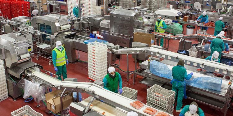 Industria alimentaria