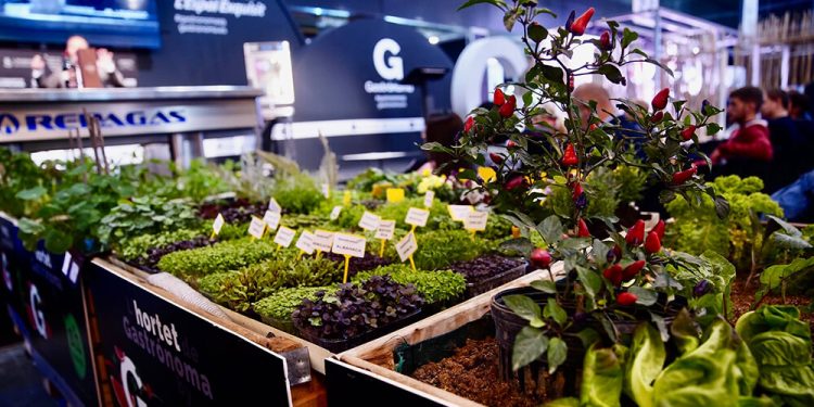 Feria Valencia adapta Mediterránea Gastrónoma a la situación actual