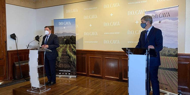 Planas-DO Cava