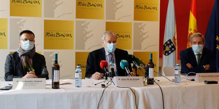 La exportación de vino de la DO Rías Baixas crece un 5,7% en volumen