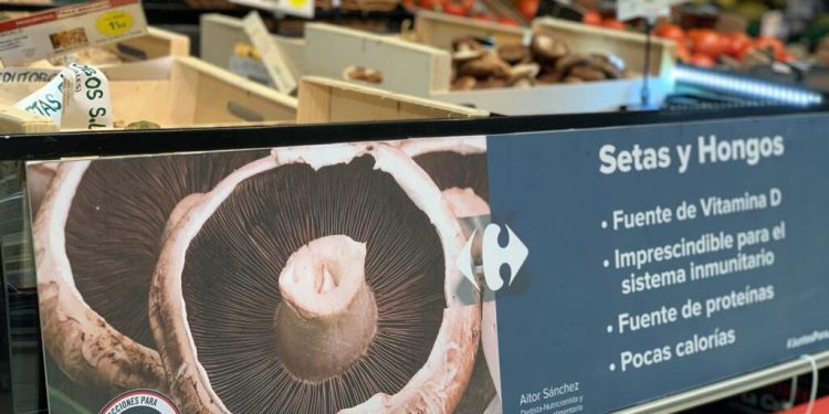 Carrefour prevé superar este año en un 20% las compras de setas y hongos nacionales
