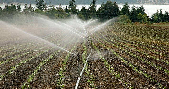 Agricultura