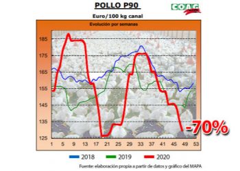 COAG alerta que la caída del 70% del precio del pollo en origen pone en riesgo a las explotaciones avícolas