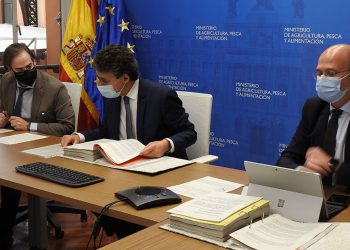 Consejo General de Organizaciones Interprofesionales