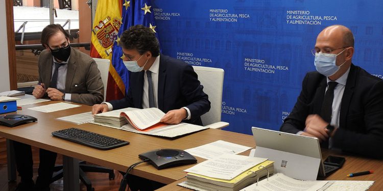 Consejo General de Organizaciones Interprofesionales