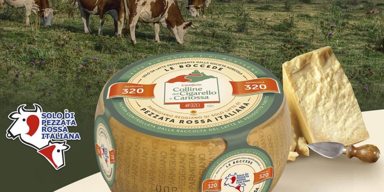 Parmigiano Reggiano