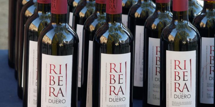 Ribera del Duero