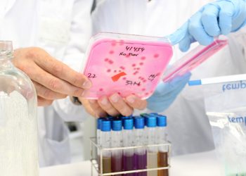 CNTA- Proyecto Biofood