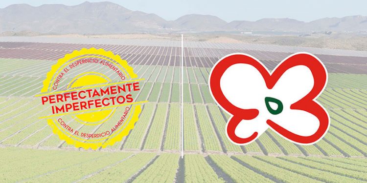 Campaña Perfectamente Imperfectos