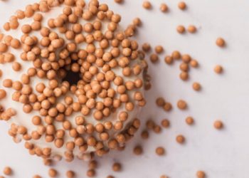 Dots-Europastry
