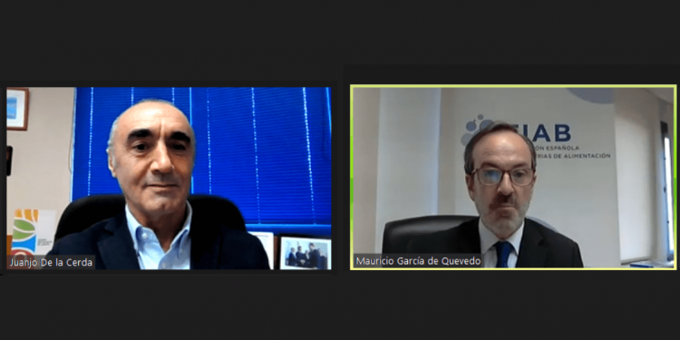 Juan Jose De la Cerda y Mauricio Garcia de Quevedo durante la firma online del convenio