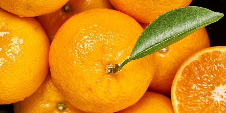 La producción de mandarina Orri para la campaña actual se estima en 60.000 toneladas