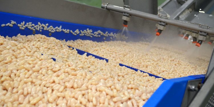 Línea de producción de alubias blancas de Autor Foods. / AUTOR FOODS