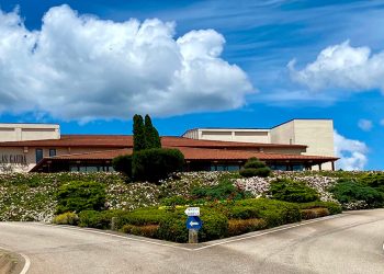 Terras Gauda culmina su proceso de diversificación geográfica