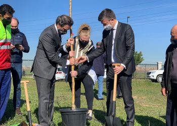 Carrefour-reforestacion