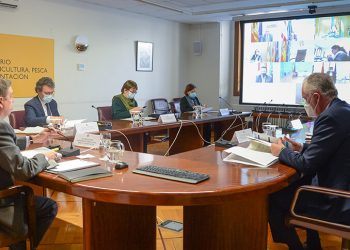 13 países se suman a la petición de España de fondos adicionales para el sector del vino