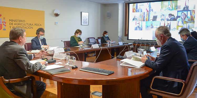 13 países se suman a la petición de España de fondos adicionales para el sector del vino