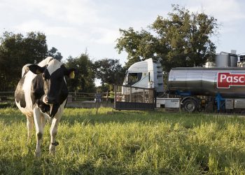 Pascual obtiene la certificación en Bienestar Animal por cuarto año consecutivo