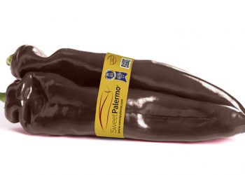 La Unión triunfa con su innovador pimiento Sweet Palermo Chocolate