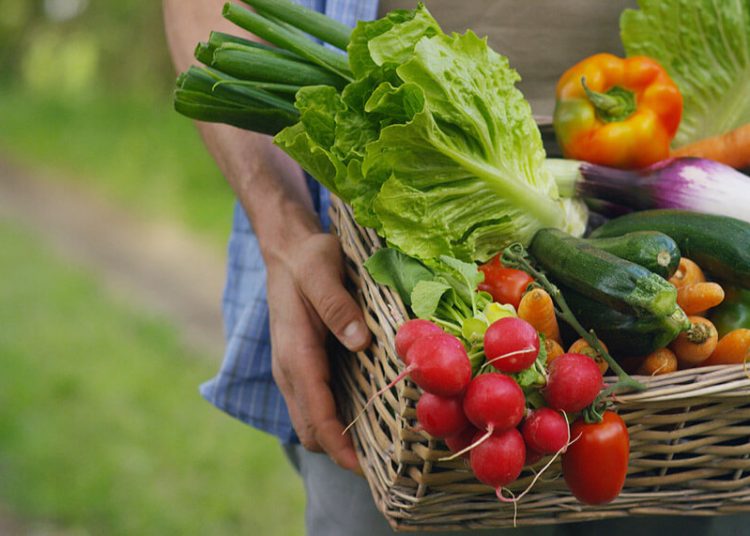 La venta de productos gourmet a través de internet crece un 55% en España