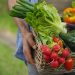La venta de productos gourmet a través de internet crece un 55% en España