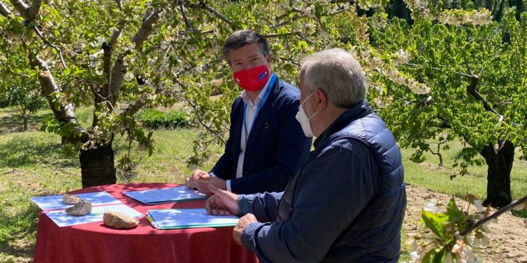 Encuentro entre Carrefour y Grupo Alba