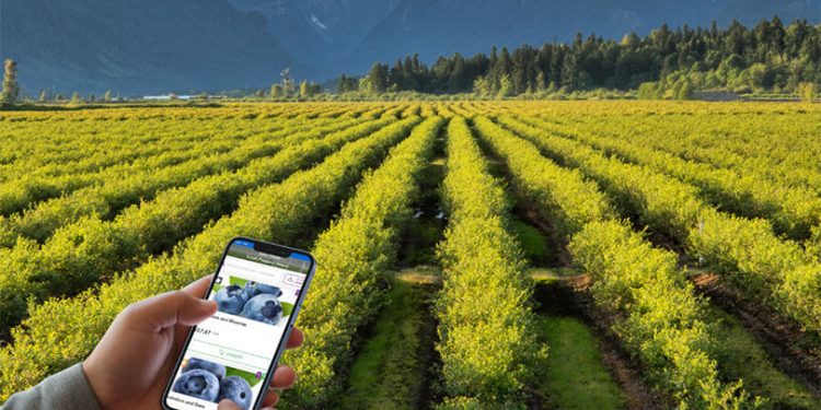 El Covid-19 impulsa la digitalización del sector agrícola en España