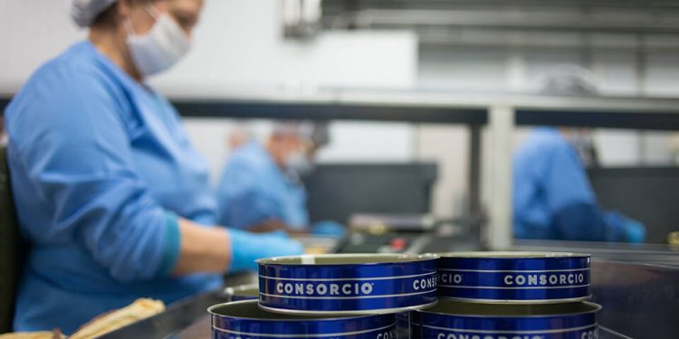 Grupo Consorcio avanza en su modelo de negocio que fusiona tradición, innovación y sostenibilidad. Fuente: Grupo Consorcio.