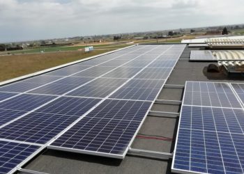 GM Food implanta un sistema de gestión integral que le permite ahorra 1,5 millones de euros anuales