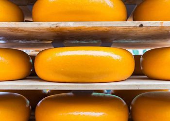 Tetra Pak desarrolla 14 soluciones tecnológicas para la producción de queso