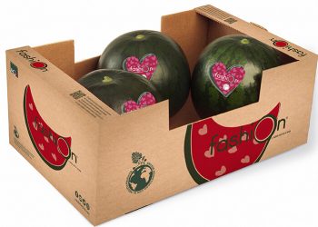 Sandia Fashion