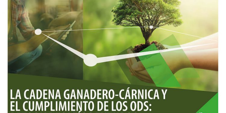 dialogo_interporc_onu