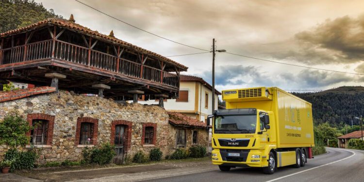 Camion MAN Truck-Alimerka