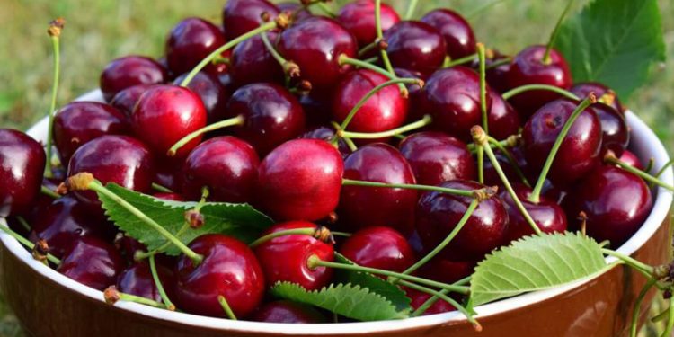 Cerezas fruta