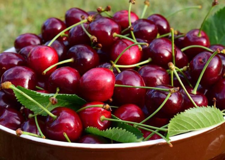 Cerezas fruta