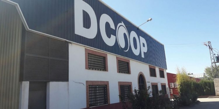Dcoop