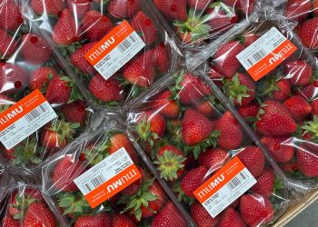 Nace muMU, una nueva marca de berries