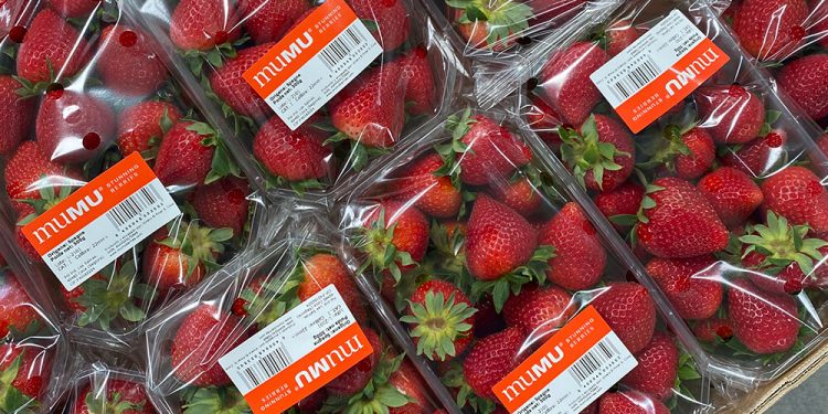 Nace muMU, una nueva marca de berries